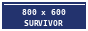 800 by 600 survivor